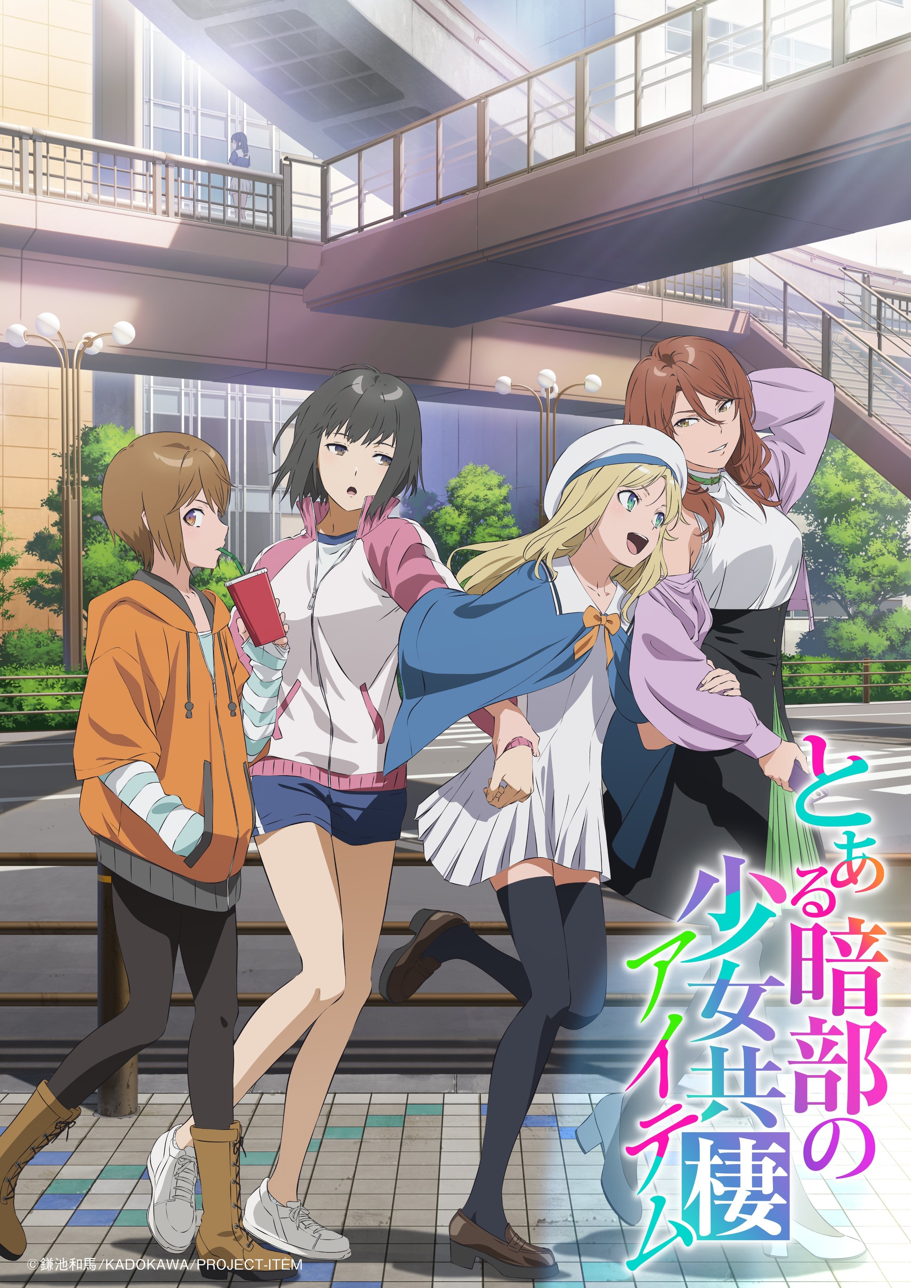 某暗部的少女共栖 poster
