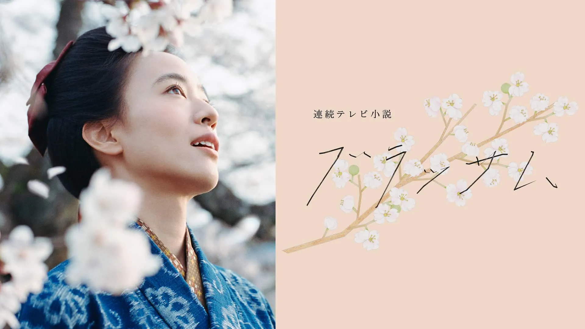 MagicStar] 花儿绽放 poster