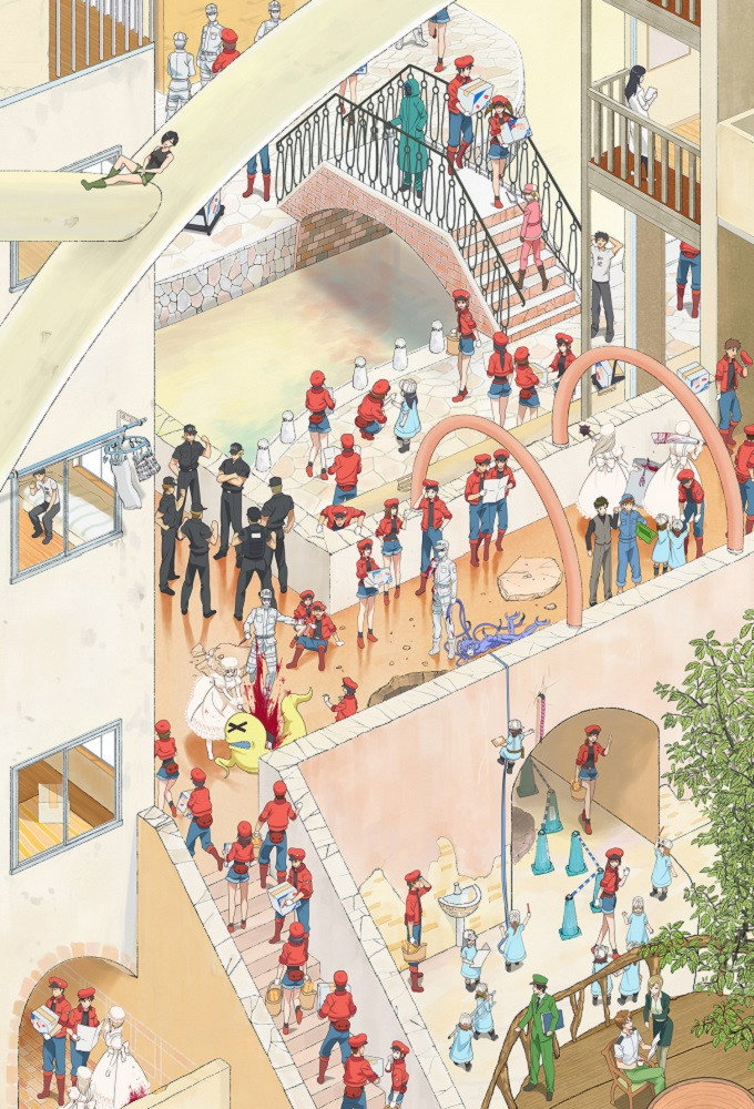 工作细胞 poster